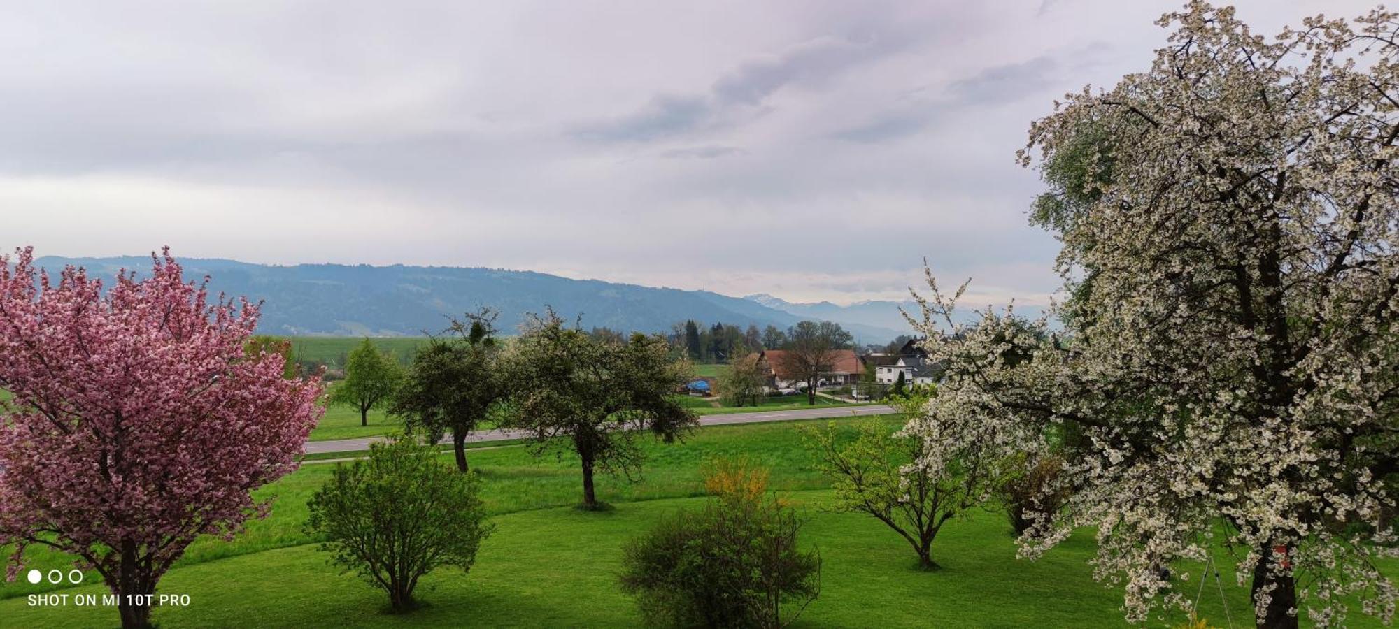 Gaestehaus Fechtig Hergensweiler Εξωτερικό φωτογραφία
